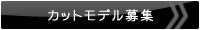 カットモデル募集