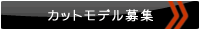カットモデル募集
